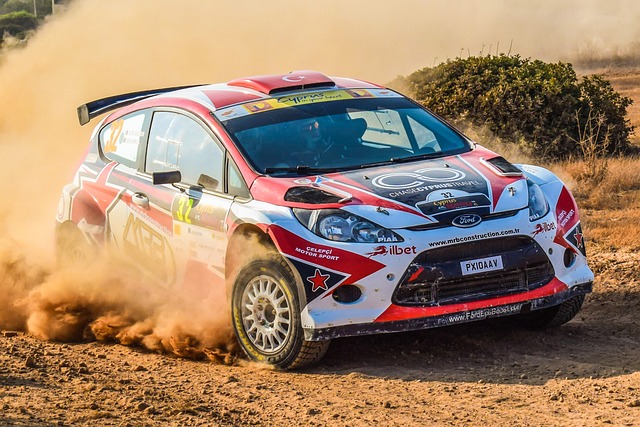 Rallye-Fahrerregistrierung